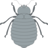 Gray Beetle Clip Art